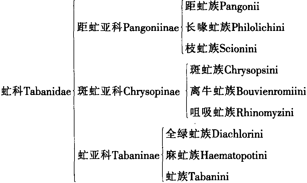 第一節(jié) 分類系統(tǒng)